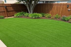 Lawn Care Services